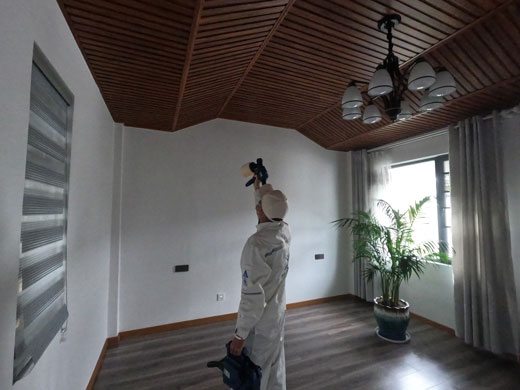 湘潭別墅除甲醛